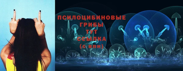 кокс Инсар