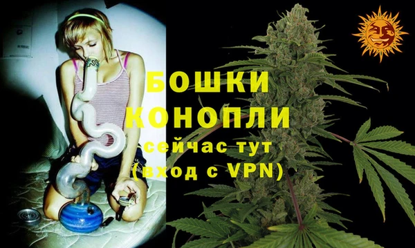 кокс Инсар