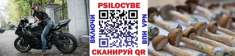 Галлюциногенные грибы MAGIC MUSHROOMS  Купить где  Пересвет 